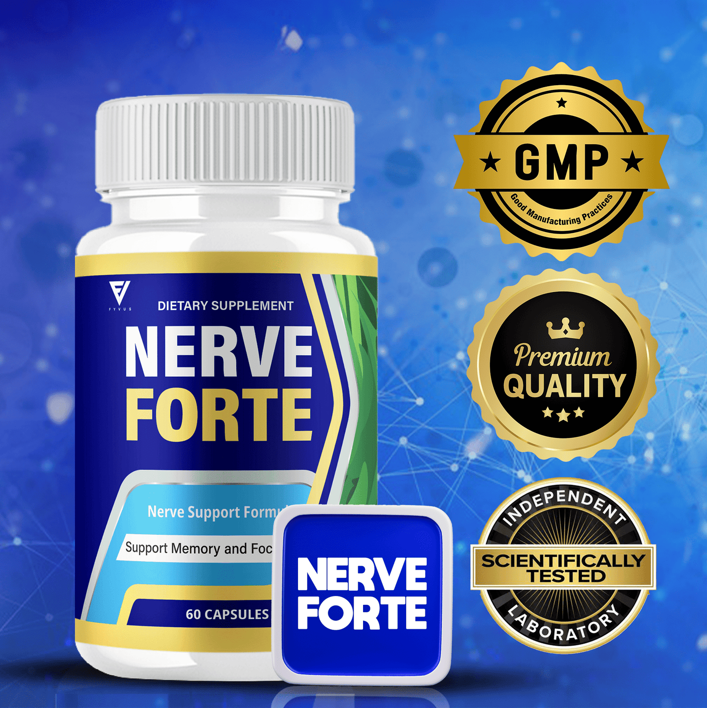 Nerve Forte Nootropic Capsules - Vitamin Place