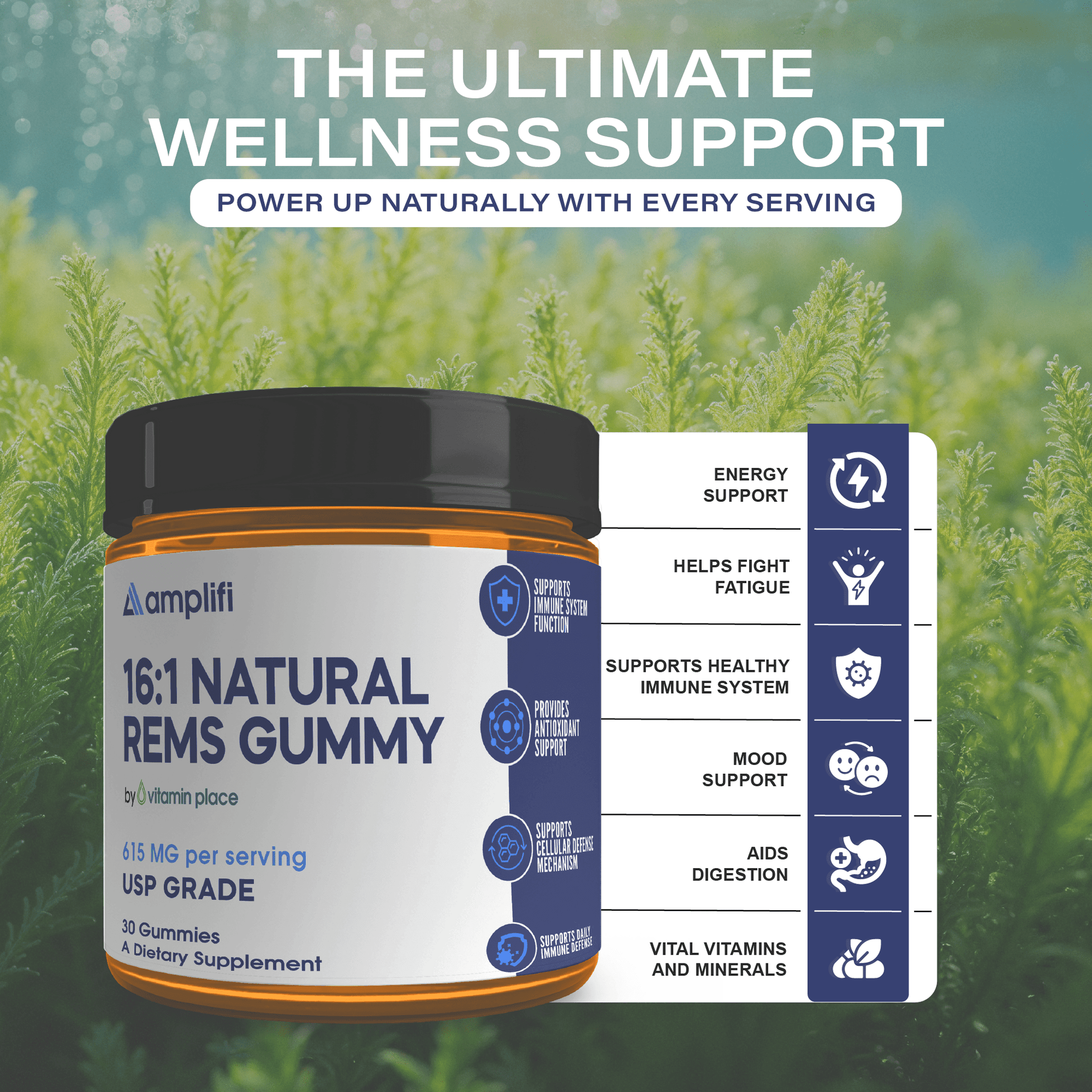 Amplifi 16:1 Natural REMS Sea Moss Gummies - Vitamin Place - Men's Health