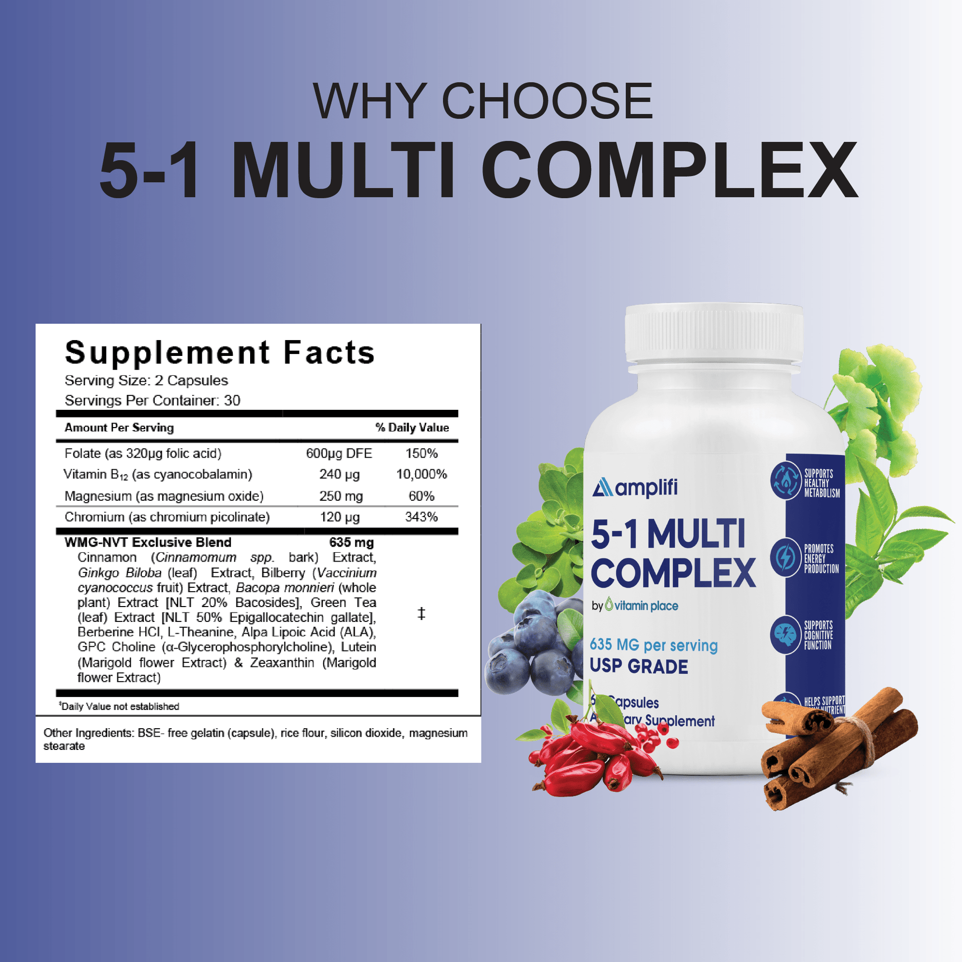Amplifi 5:1 Multi Complex - Vitamin Place - Metabolism & Wellness