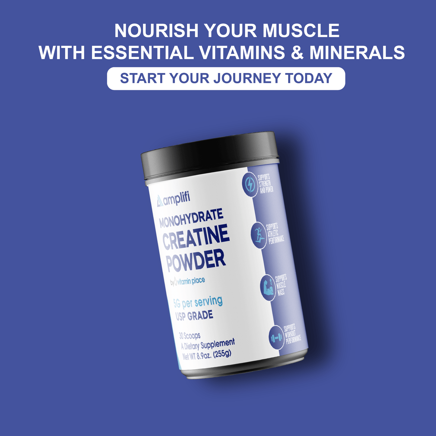 Amplifi Creatine Monohydrate Powder - Vitamin Place - Metabolism & Wellness