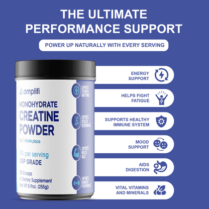 Amplifi Creatine Monohydrate Powder - Vitamin Place - Metabolism & Wellness