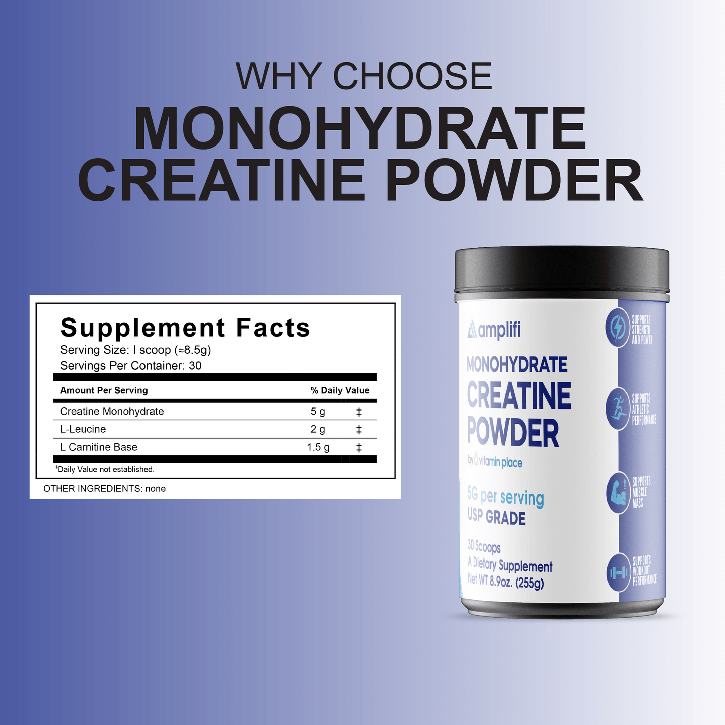 Amplifi Creatine Monohydrate Powder - Vitamin Place - Metabolism & Wellness