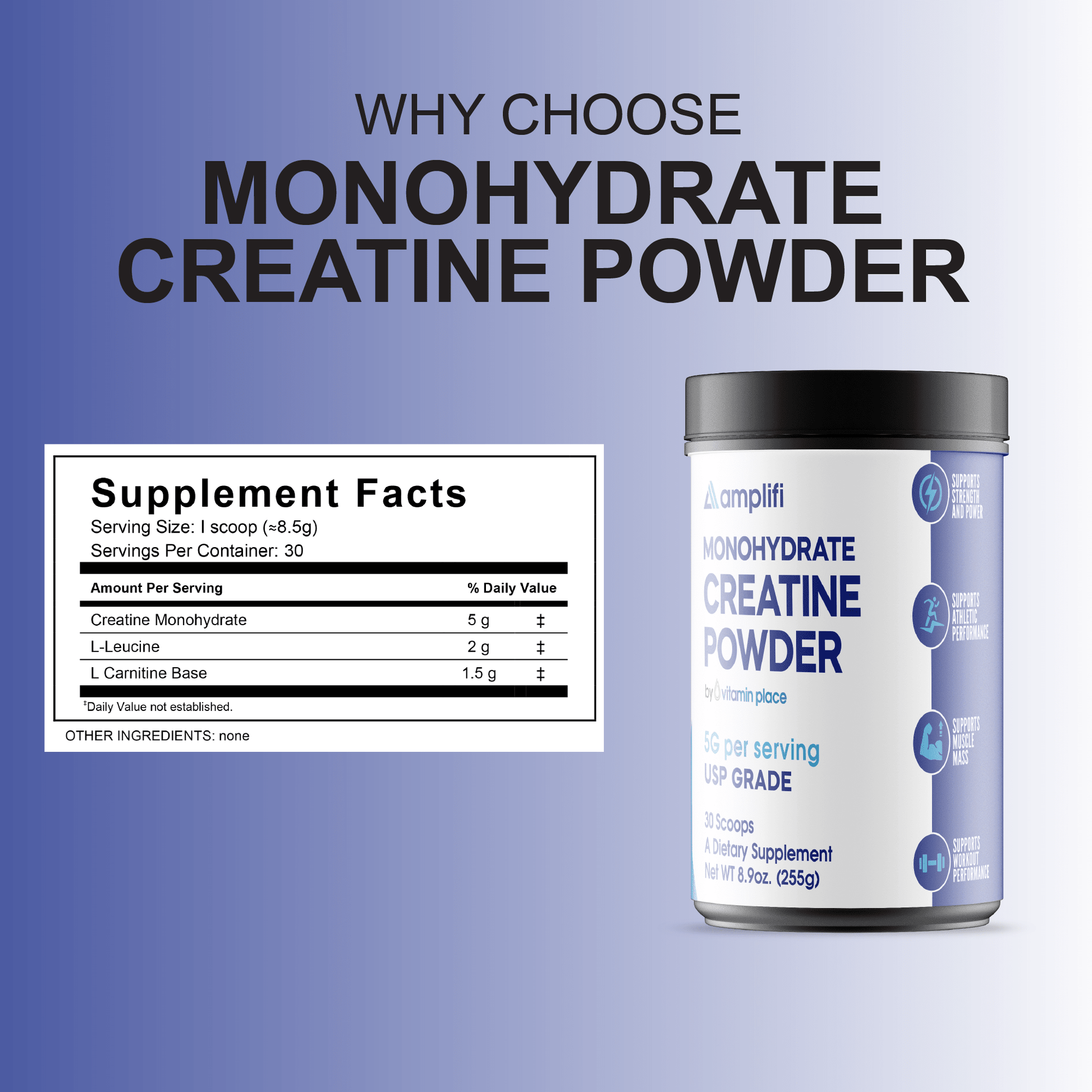 Amplifi Creatine Monohydrate Powder - Vitamin Place - Metabolism & Wellness
