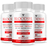 Bloodsyl Glycogen Support Capsules - Vitamin Place - Blood Sugar Capsules