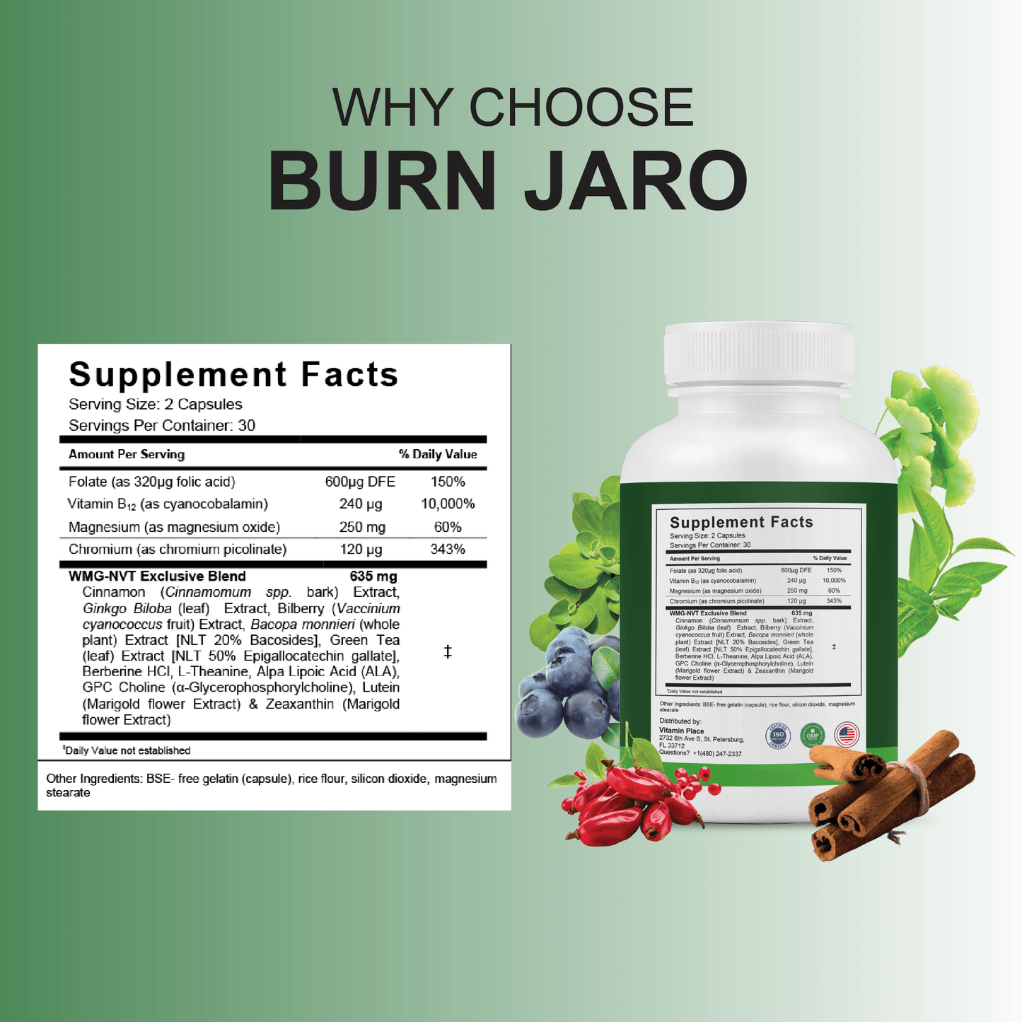 Burn Jaro Capsules - Vitamin Place - Metabolism & Wellness