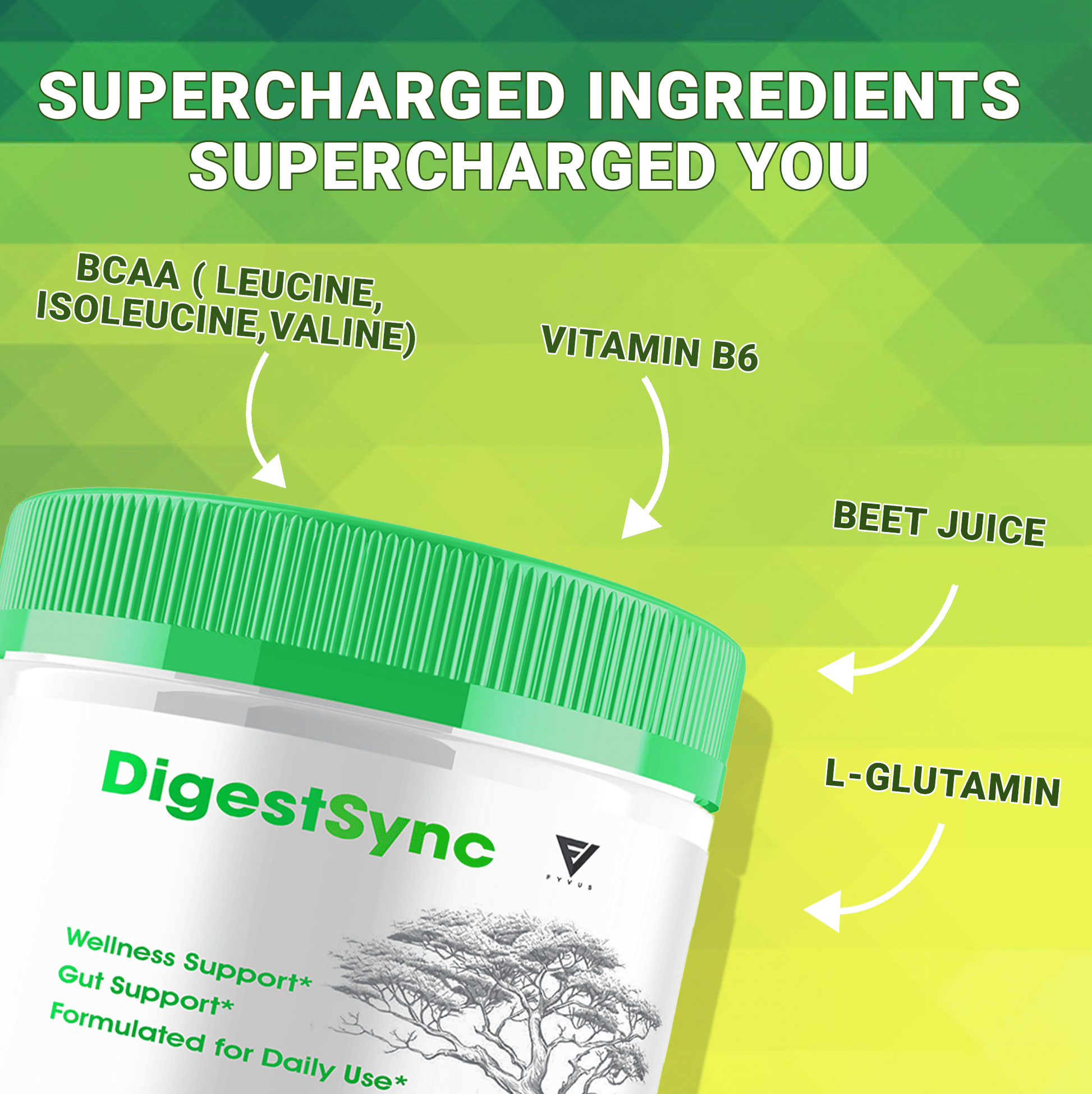 DigestSync Powder - Vitamin Place - Powder