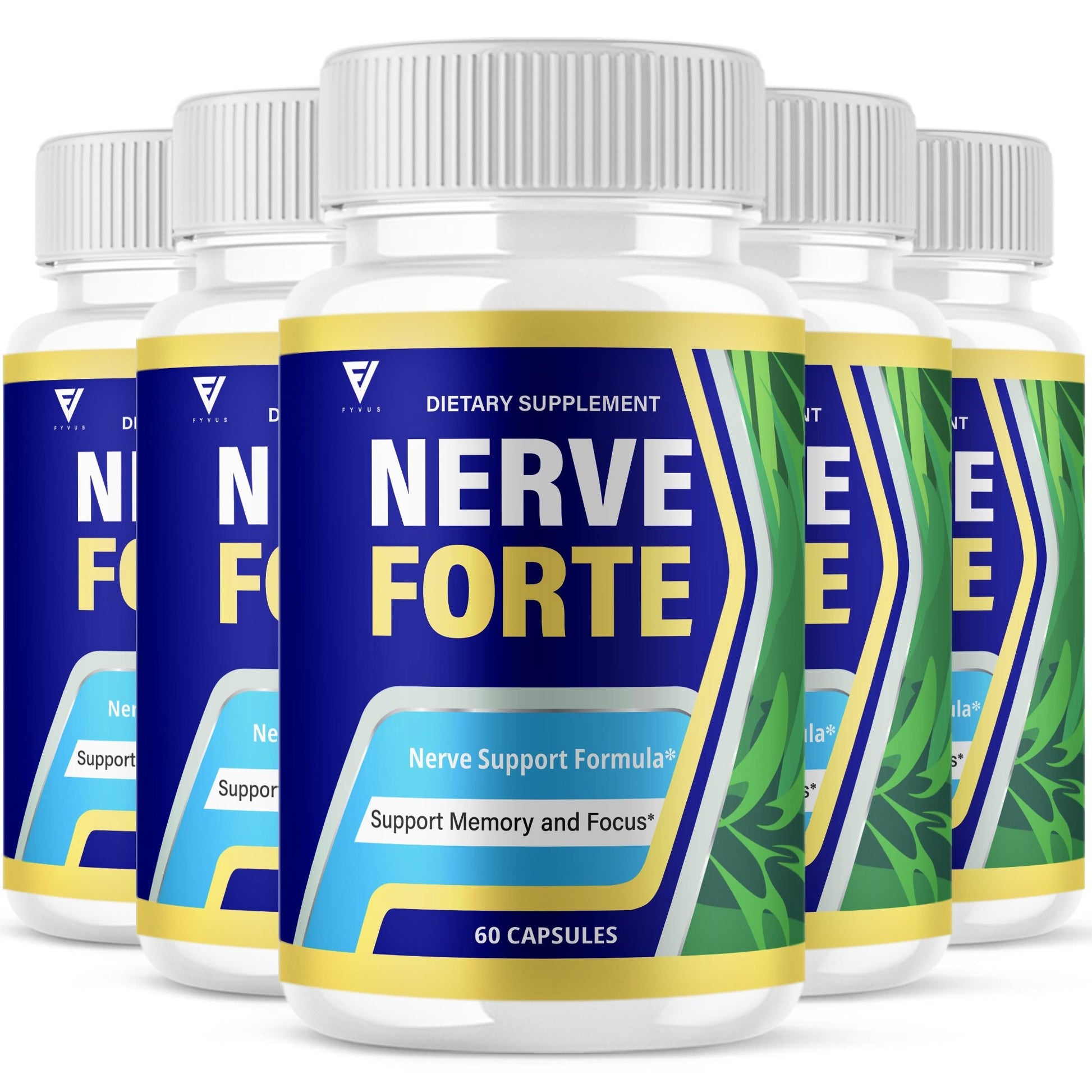 Nerve Forte Nootropic Capsules - Vitamin Place